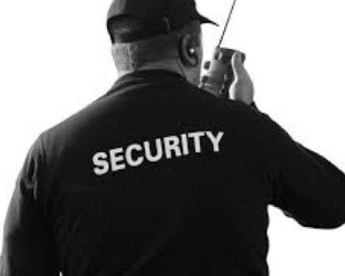 Security Services in Homa Bay