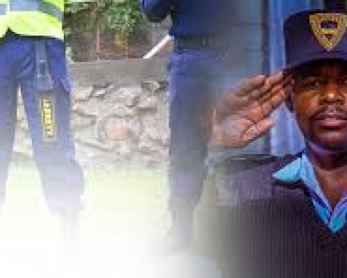 Professional Security Guard Services in Migori County