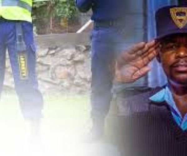 Professional Security Guard Services in Kericho County